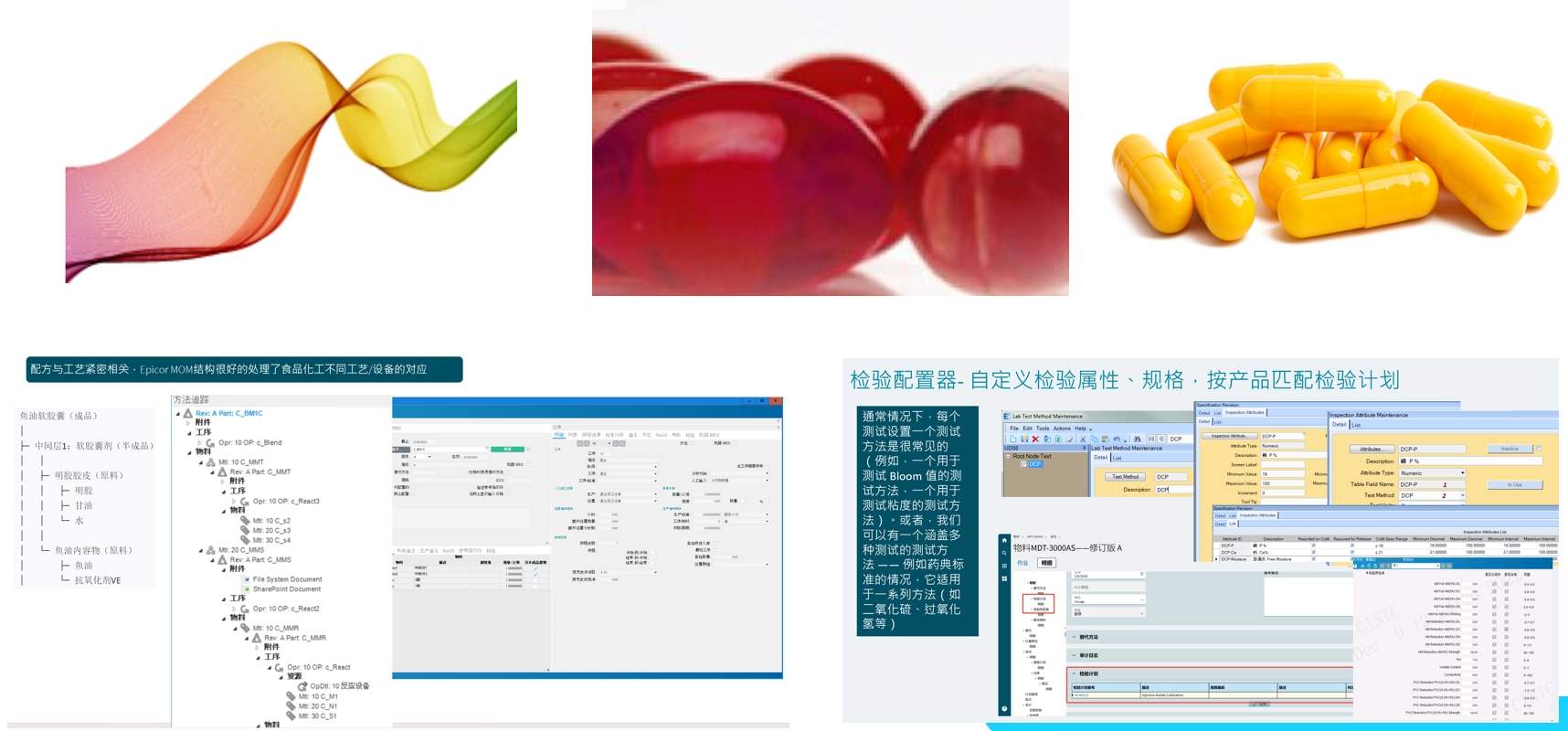 化工与食品解决方案